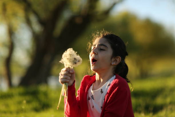 istock Girl blowing on dandelion, summer in nature 1150374937