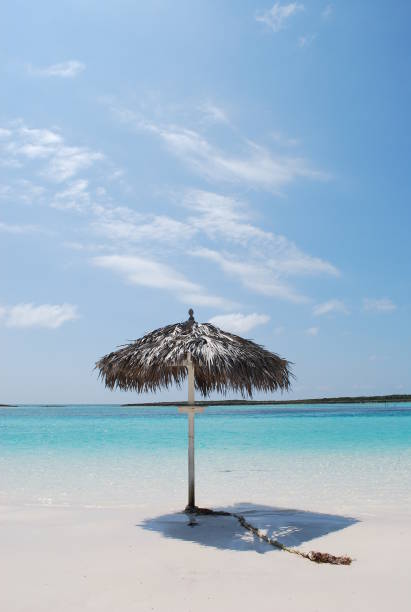 Photograph taken on one of the many pristine islands and cays of the Exumas.