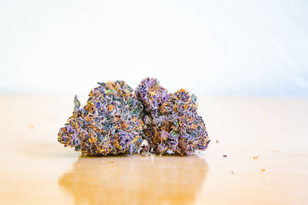 Purple Sticky Cannabis