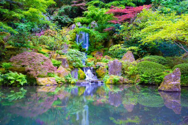 istock Waterfall in a Japanese Garden 1150376001