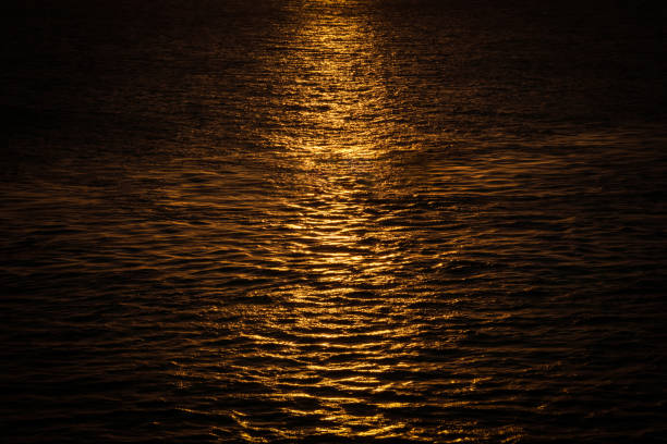 Free Stock Photo of Golden reflections on ocean water surface ...