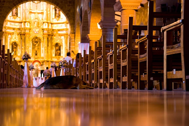 istock Sleeping Dog in Church 115038204