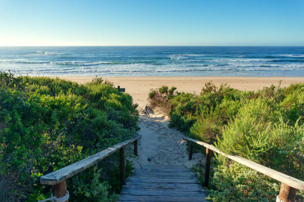 istock Ocean view beach background with wooden path covered in sand 1150385210