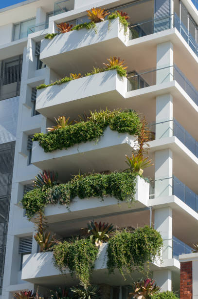 istock Fresh green plants growing on white tall building 1150385239