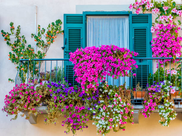 Tuscany and Umbria region of Italy Rustic window balcony in the Town of Valentano in Tuscan countryside of Italy blossoming stock pictures, royalty-free photos & images