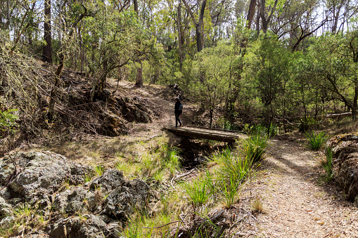 Person crossing a wooden bride of the walking Track along the panoramic Wollomombi Gorge, a wild river in New England National Park, Northern New South Wales, Australia