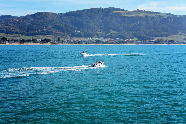 Motor boats going to and from a marina for fishing activities on a beautiful calm sea
