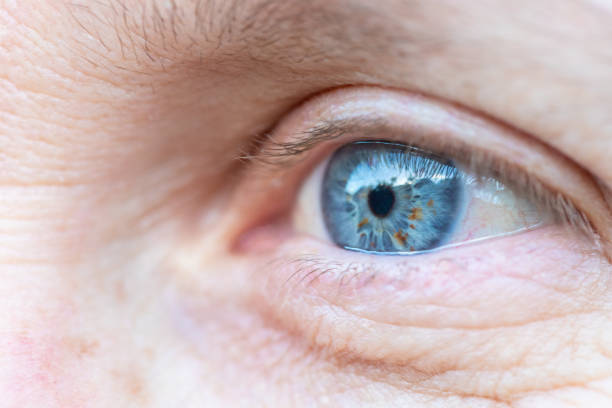 istock Close up of a Woman's Eyes 1150392446