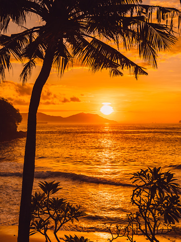Coconut palms and sunrise at tropical beach with sea. Tropical island