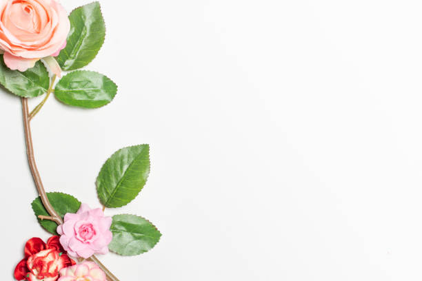 istock Frame made of rose flowers on white background. Top view with copy space. 1150400400