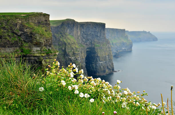 Cliffs of Moher The Cliffs of Moher  are located in the parish of Liscannor at the south-western edge of the Burren area near Doolin, which is located in County Clare, Ireland. cliffs of moher stock pictures, royalty-free photos & images