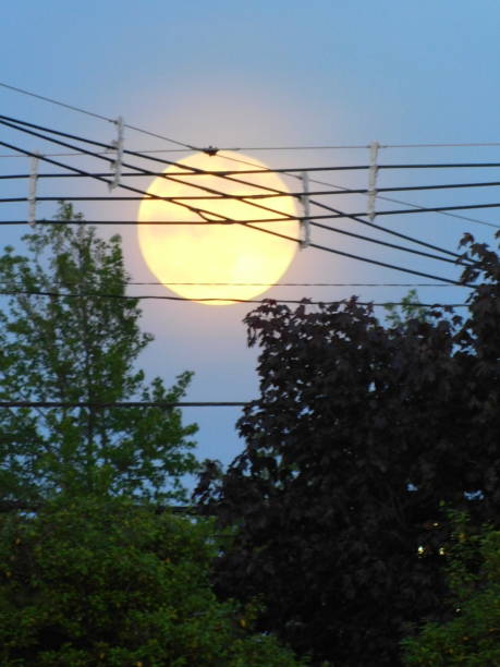 istock Big Blue moon coming up with Blue sky 1150402811