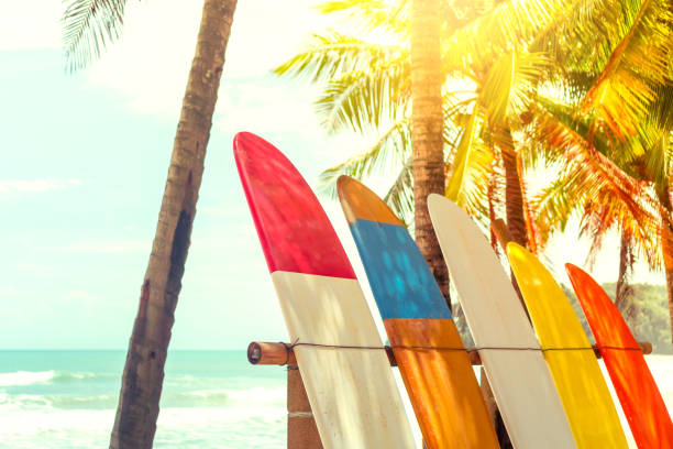 istock Many surfboards beside coconut trees at summer beach with sun light and blue sky background. 1150408701