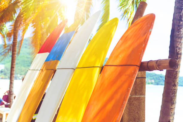 istock Many surfboards beside coconut trees at summer beach with sun light and blue sky background. 1150408707