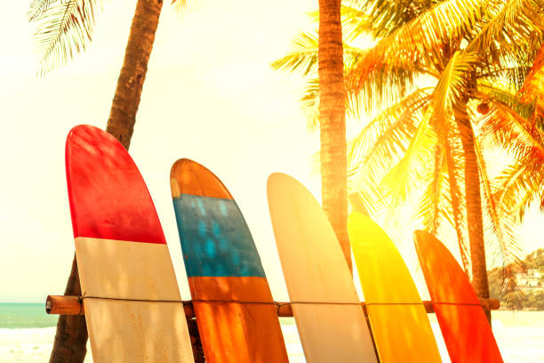 istock Many surfboards beside coconut trees at summer beach with sun light and blue sky background. 1150408716