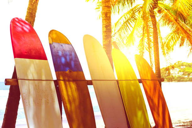 istock Many surfboards beside coconut trees at summer beach with sun light and blue sky background. 1150408720