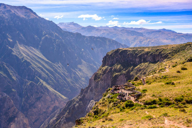 istock Condor watching at Colca Canyon in Peru 1150412199