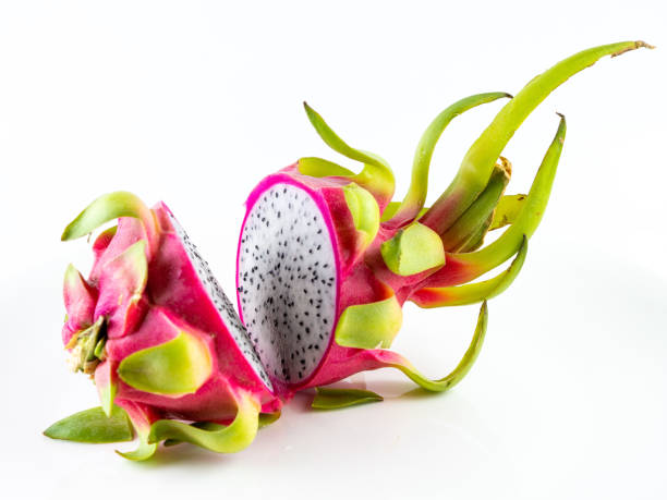 thumbnail image 2 of Red Dragon Fruit Cuttings – 2 Pieces (9-14") Condor Variety – Purple Fruit, Arid & Subtropical 2 of 4