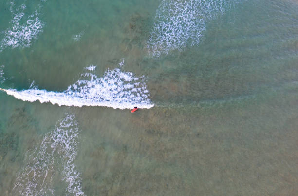 포인트 로드 나이트 paddleboarder 공중 - anglesea 뉴스 사진 이미지