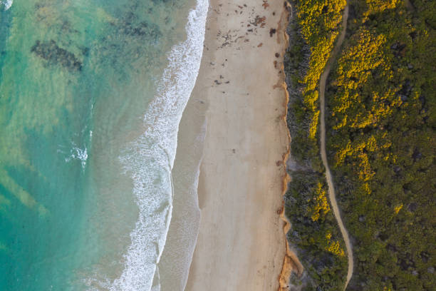 istock Point Roadknight, Anglesea Clifftops Aerial 1150413316