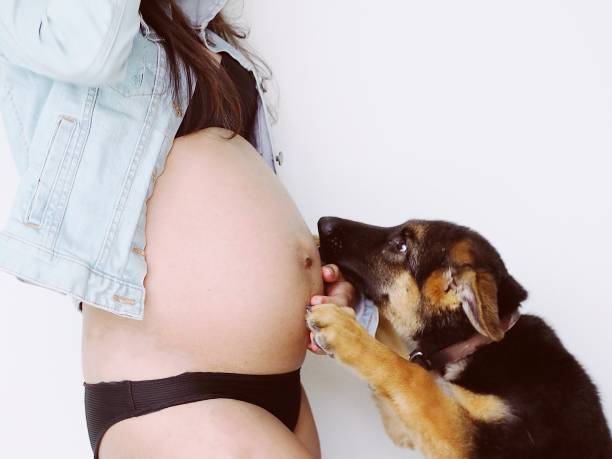istock Pregnant woman 1150414007