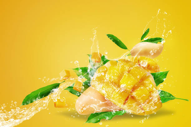 Water splashing on Fresh Sliced Mango fruit with mango cubes Isolated over yellow background