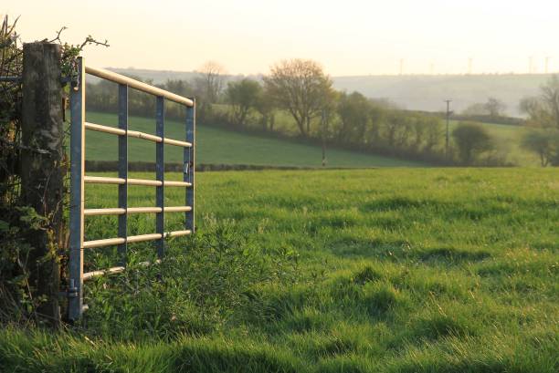 una porta aperta nel galles rurale - farm gate foto e immagini stock