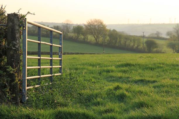 A open farm gate in rural Wales