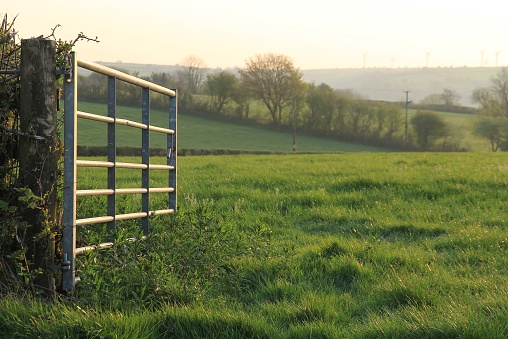In the foreground a grey steel farm gate opens onto a lush green grass field in rural south Wales at sunrise.