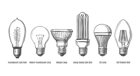 Black and white lightbulbs sketch. Light bulbs evolution retro sketch vector illustration, vintage hand drawn lamps