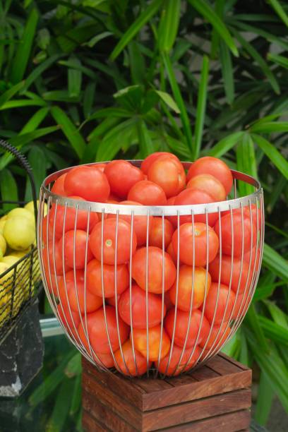 Image of exotic fruit and vegetable party buffet selection in baskets, pineapples, yellow honeydew melons, tomatoes, lemons, tropical garden background palm trees and bamboo Stock photo of baskets with fruits and vegetable displayed at a party buffet in a restaurant. pineapples, yellow honeydew melons, lemons, tropical garden background palm trees and bamboo palm fiber stock pictures, royalty-free photos & images