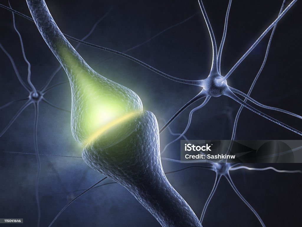 Synapse Synapse in human neural system Biology Stock Photo