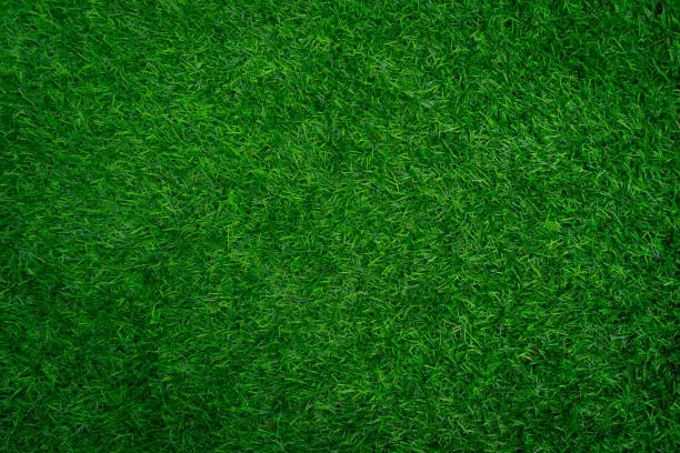 Full frame shot of grass texture background.