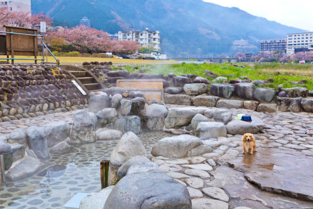 Natural hot spring onsen at the river and green mountain of Gero onsen, Gifu prefecture. gero onsen, gero town,hotspring,sakura, cherry blossom, gifu prefecture stock pictures, royalty-free photos & images