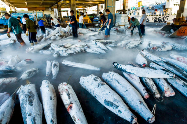 istock fish market auction 1150425566