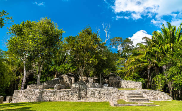istock Mayan ruins at Kohunlich in Mexico 1150426712