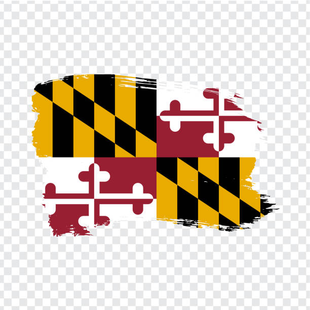 flaga maryland z pociągnięć pędzla. stany zjednoczone ameryki.  flaga maryland na przezroczystym tle dla projektu witryny sieci web, logo, aplikacji, interfejsu użytkownika. wektor zapasów. ilustracja wektorowa eps10. - maryland flag state maryland state flag stock illustrations