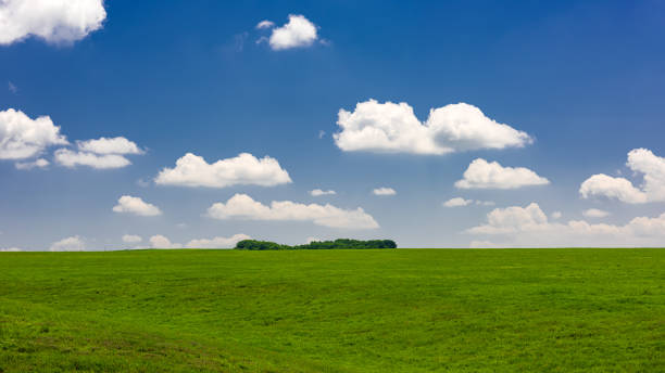 istock Panoramic view to green field with clouds in the blue sky 1150428506