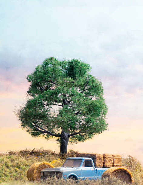 Dusty Blue Truck Under Oak Tree