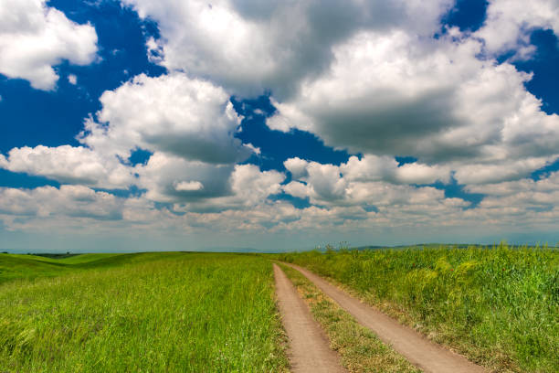 istock Rural dirt road among farm fields 1150428747