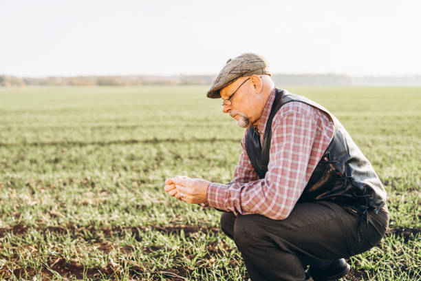 istock Adult farmer checking plants on his farm. 1150429848