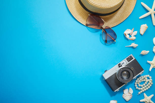 istock Summer holiday accessories branch blue background 1150433593