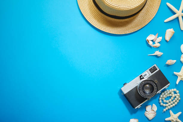 istock Summer holiday accessories branch blue background 1150433602