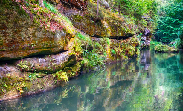 istock kamenice river from the small ship 1150433674