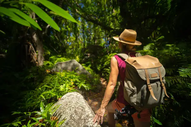 rear view woman hiker wildlife photographer walking through tropical jungle on hot humid day with backpack
