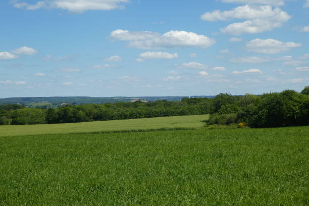 istock Agriculture landscape 1150434860