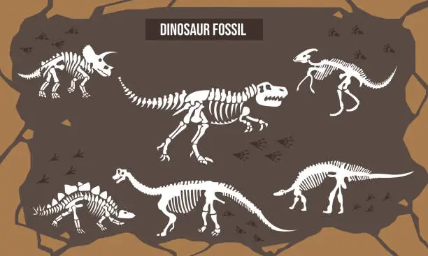 Vector illustration of Vector Illustration of Dinosaur fossil