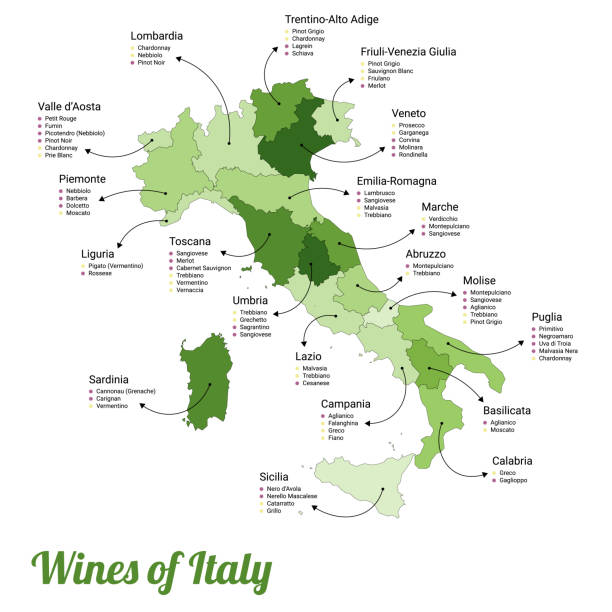 Vector illustration of the map of all the different kinds of wines in every region in Italy.