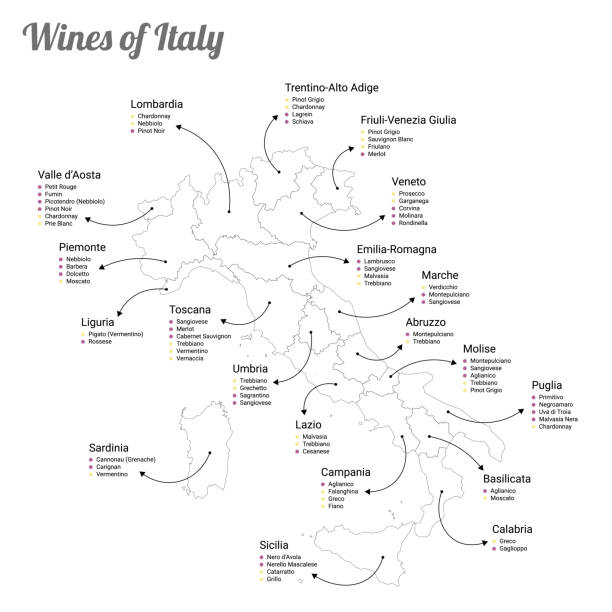 illustrazioni stock, clip art, cartoni animati e icone di tendenza di mappa dei vini dell'italia e delle sue regioni - trentino alto adige