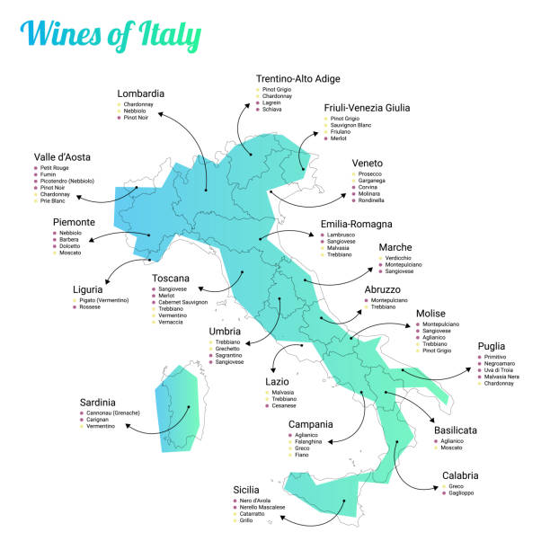 illustrazioni stock, clip art, cartoni animati e icone di tendenza di mappa dei vini dell'italia e delle sue regioni - trentino alto adige